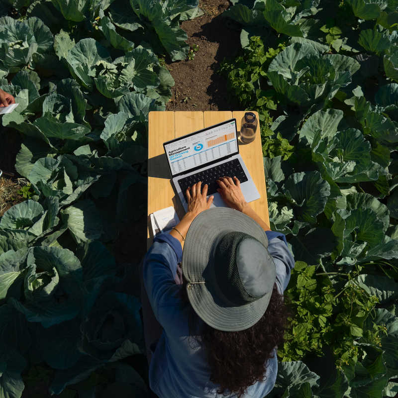 На фото изображено Apple MacBook Pro 16" (M5 Pro, 18C / 20C, 2026) 24 ГБ, 1 ТБ SSD, серебристый