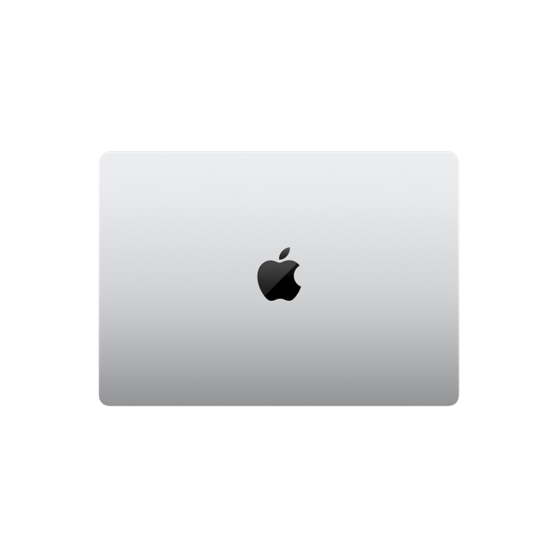 Apple MacBook Pro 14" (M4, 10C / 10C, 2024) 24 ГБ, 1 ТБ SSD, серебристый